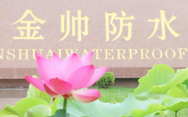 微信圖片_20200726173554
