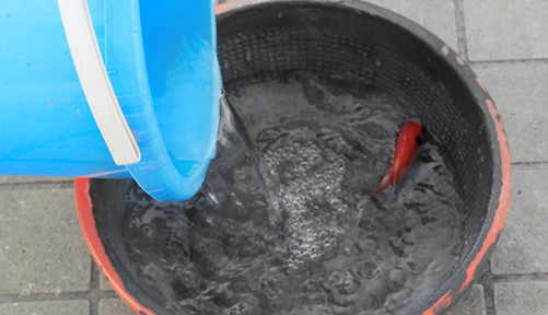 聚合物水泥防水砂漿
